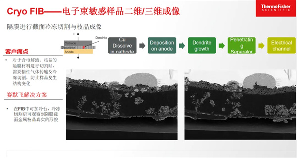 赛默飞王慧敏：前沿表征科技是提高质量、性能的“王牌利器”